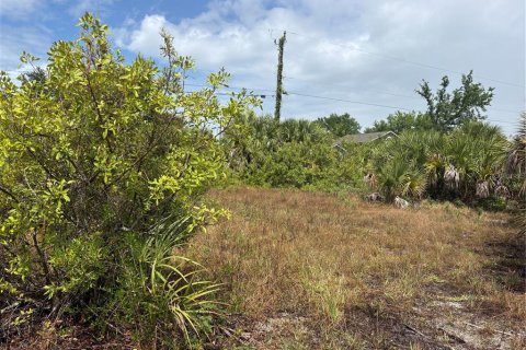 Land in Port Charlotte, Florida № 2138967