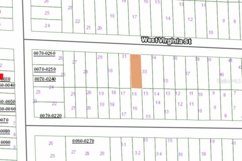 Land in Hawthorne, Florida № 2163643 - photo 4