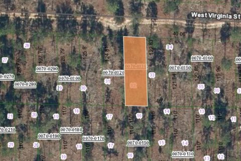 Land in Hawthorne, Florida № 2163643