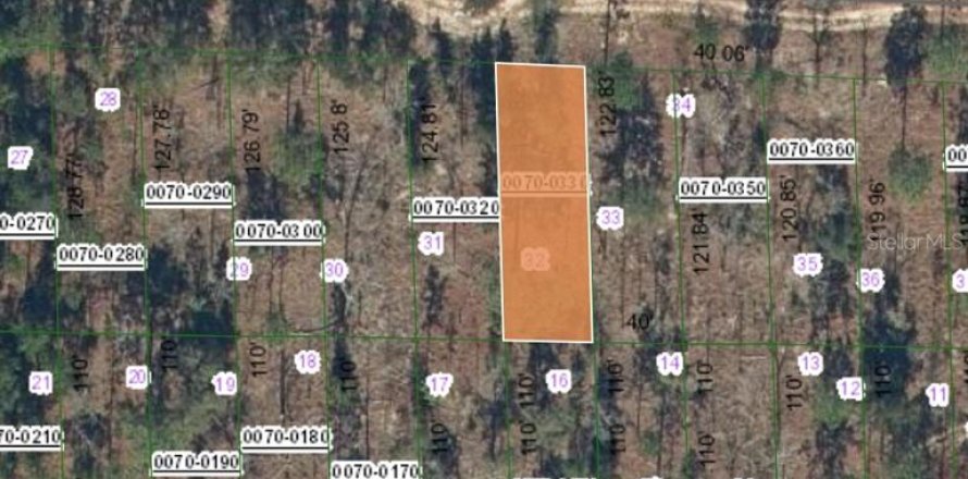 Land in Hawthorne, Florida № 2163643