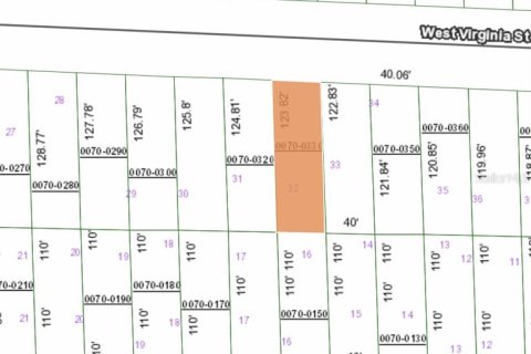 Land in Hawthorne, Florida № 2163643 - photo 3