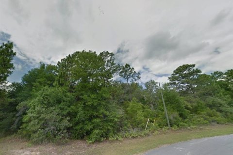 Land in Citrus Springs, Florida № 2211657 - photo 2