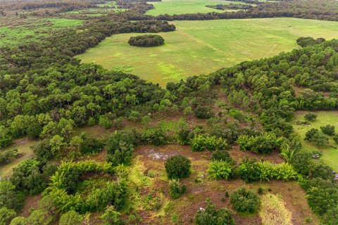 Terrain à vendre à Wimauma, Floride № 2354595 - photo 4