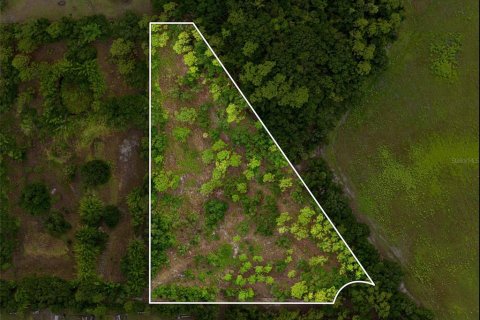 Terrain à vendre à Wimauma, Floride № 2354595 - photo 7
