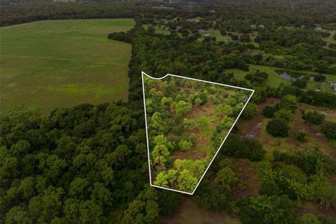Terrain à vendre à Wimauma, Floride № 2354595 - photo 5