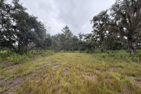 Terrain à vendre à Wimauma, Floride № 2354595 - photo 17