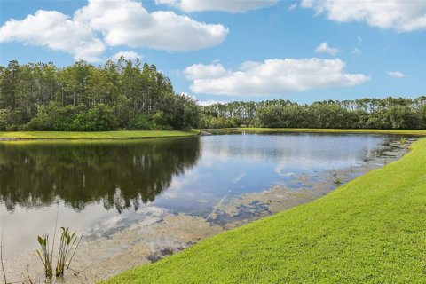Villa ou maison à vendre à Lutz, Floride: 4 chambres, 188.41 m2 № 1916256 - photo 6
