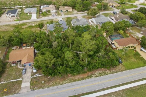 Land in Spring Hill, Florida № 2195553 - photo 10