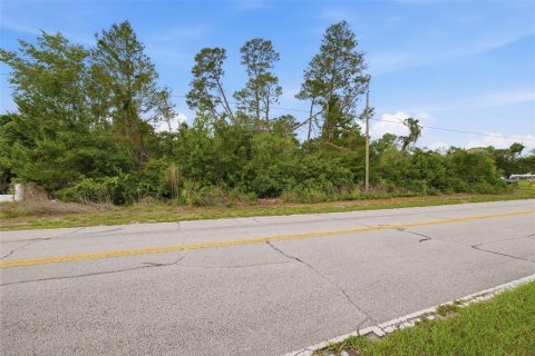 Land in Spring Hill, Florida № 2195553 - photo 9
