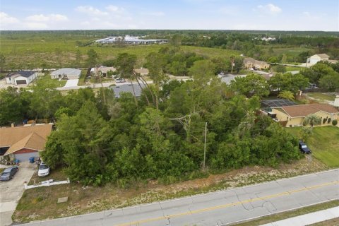 Land in Spring Hill, Florida № 2195553 - photo 13