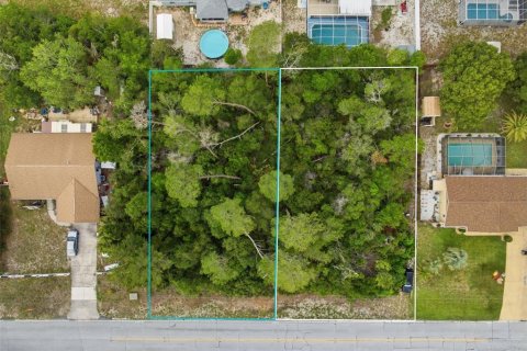 Land in Spring Hill, Florida № 2195553 - photo 4