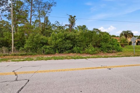 Land in Spring Hill, Florida № 2195553 - photo 8
