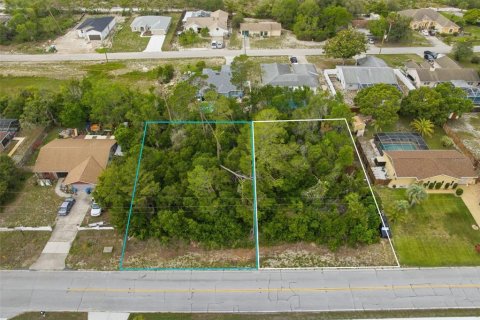 Land in Spring Hill, Florida № 2195553 - photo 3