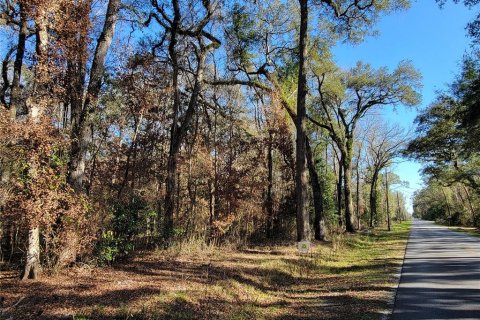 Land in Fort White, Florida № 1531545 - photo 1