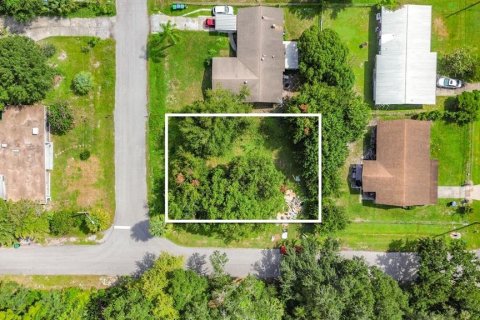 Land in Orlando, Florida № 2329430
