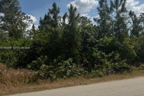 Land in Lehigh Acres, Florida № 2158653 - photo 3