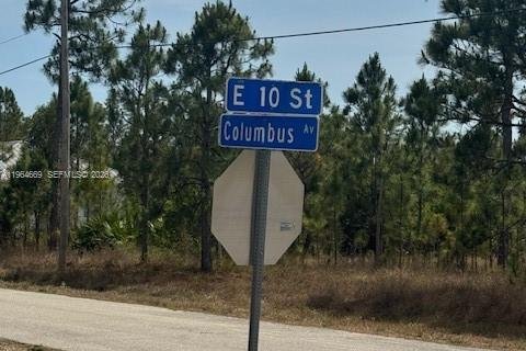 Land in Lehigh Acres, Florida № 2158653 - photo 5