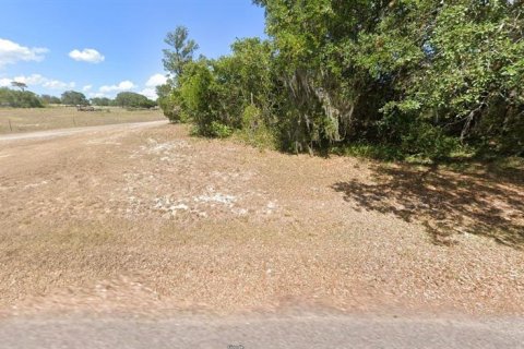 Land in Babson Park, Florida № 2158942 - photo 2