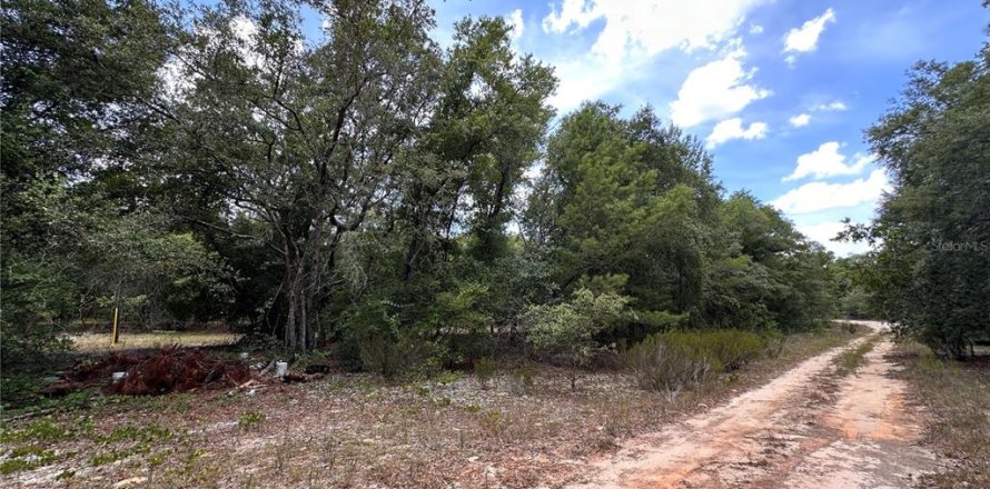 Land in Hawthorne, Florida № 2162888