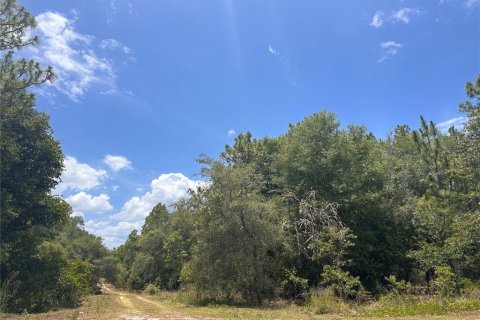 Land in Hawthorne, Florida № 2162888 - photo 7