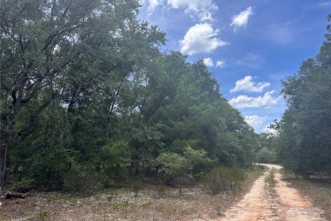 Land in Hawthorne, Florida № 2162888 - photo 2