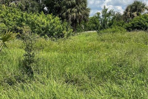 Terreno en venta en Port Charlotte, Florida № 1877053 - foto 2