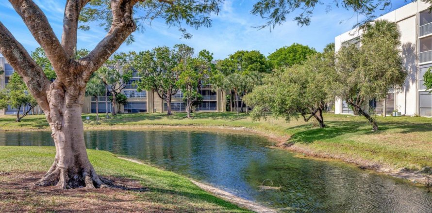 Condo à Lauderdale Lakes, Floride, 1 chambre  № 2085911