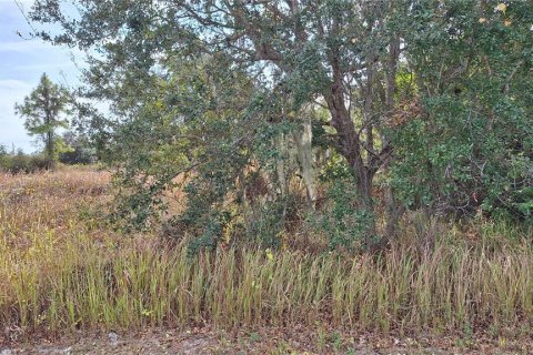 Land in North Port, Florida № 2228569 - photo 3