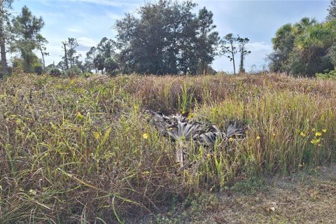 Land in North Port, Florida № 2228569 - photo 4