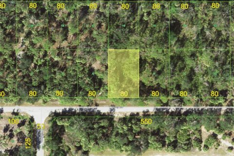 Land in Port Charlotte, Florida № 2159126