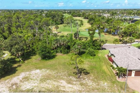 Land in Rotonda, Florida № 1787516 - photo 1