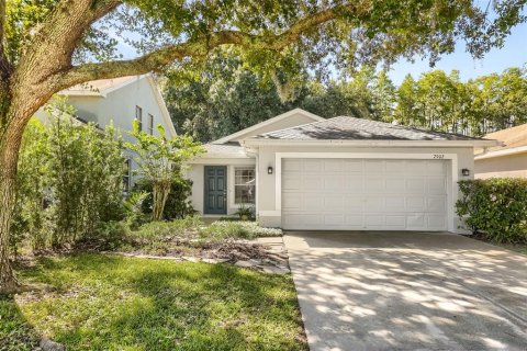 House in Land O' Lakes, Florida 3 bedrooms, 122.63 sq.m. № 2366559