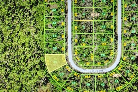 Land in Port Charlotte, Florida № 2164255