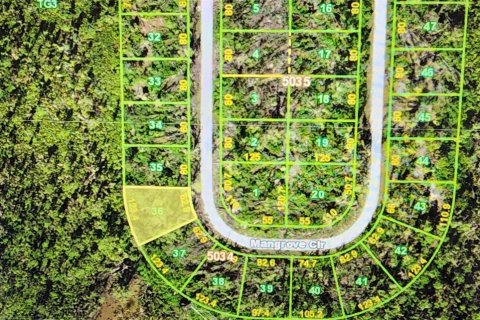 Land in Port Charlotte, Florida № 2164255 - photo 4
