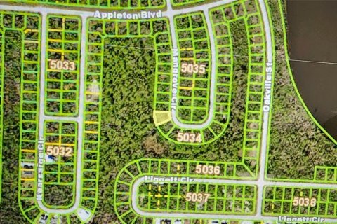 Land in Port Charlotte, Florida № 2164255 - photo 3