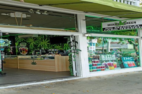 Immobilier commercial à vendre à Key West, Floride № 1752991 - photo 3