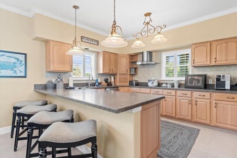 Villa ou maison à vendre à Englewood, Floride: 6 chambres, 405.52 m2 № 2206097 - photo 23
