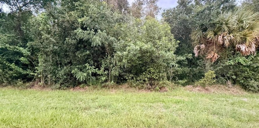 Terrain à Punta Gorda, Floride № 2259550