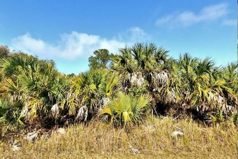 Land in North Port, Florida № 2160343 - photo 2