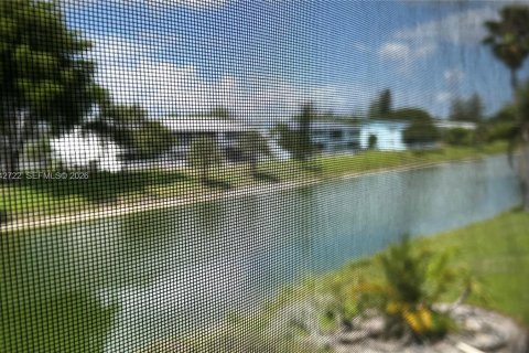 Condo à West Palm Beach, Floride, 1 chambre  № 2000121