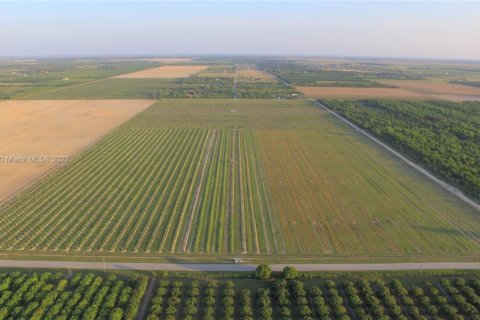 Terreno en venta en Homestead, Florida № 1985543 - foto 11