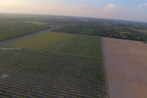 Terreno en venta en Homestead, Florida № 1985543 - foto 9