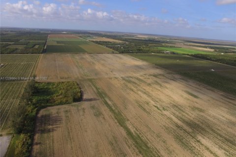 Terreno en venta en Homestead, Florida № 1985543 - foto 4