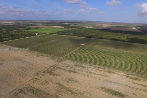 Terreno en venta en Homestead, Florida № 1985543 - foto 5