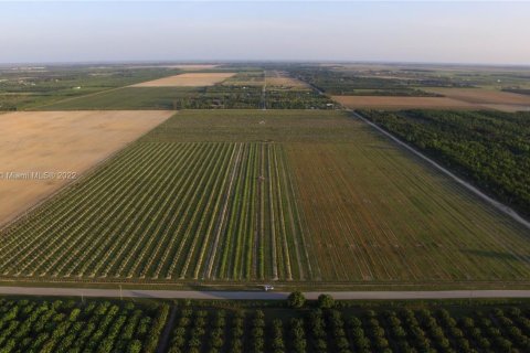 Terreno en venta en Homestead, Florida № 1985543 - foto 12
