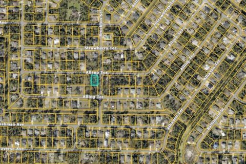 Land in North Port, Florida № 2163589 - photo 2