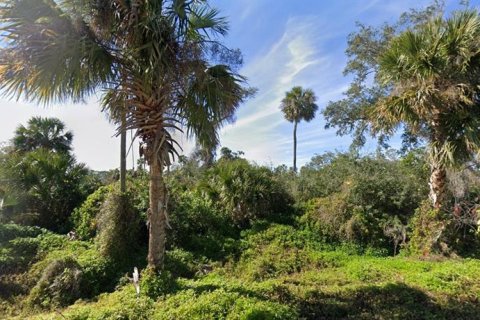 Land in Flagler Beach, Florida № 1873369 - photo 3