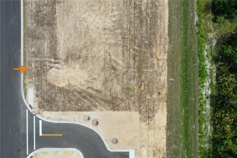 Land in Flagler Beach, Florida № 1164431 - photo 19