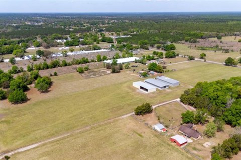 Terreno en venta en Eustis, Florida № 1805144 - foto 2