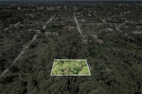 Land in Sebring, Florida № 2164961 - photo 4